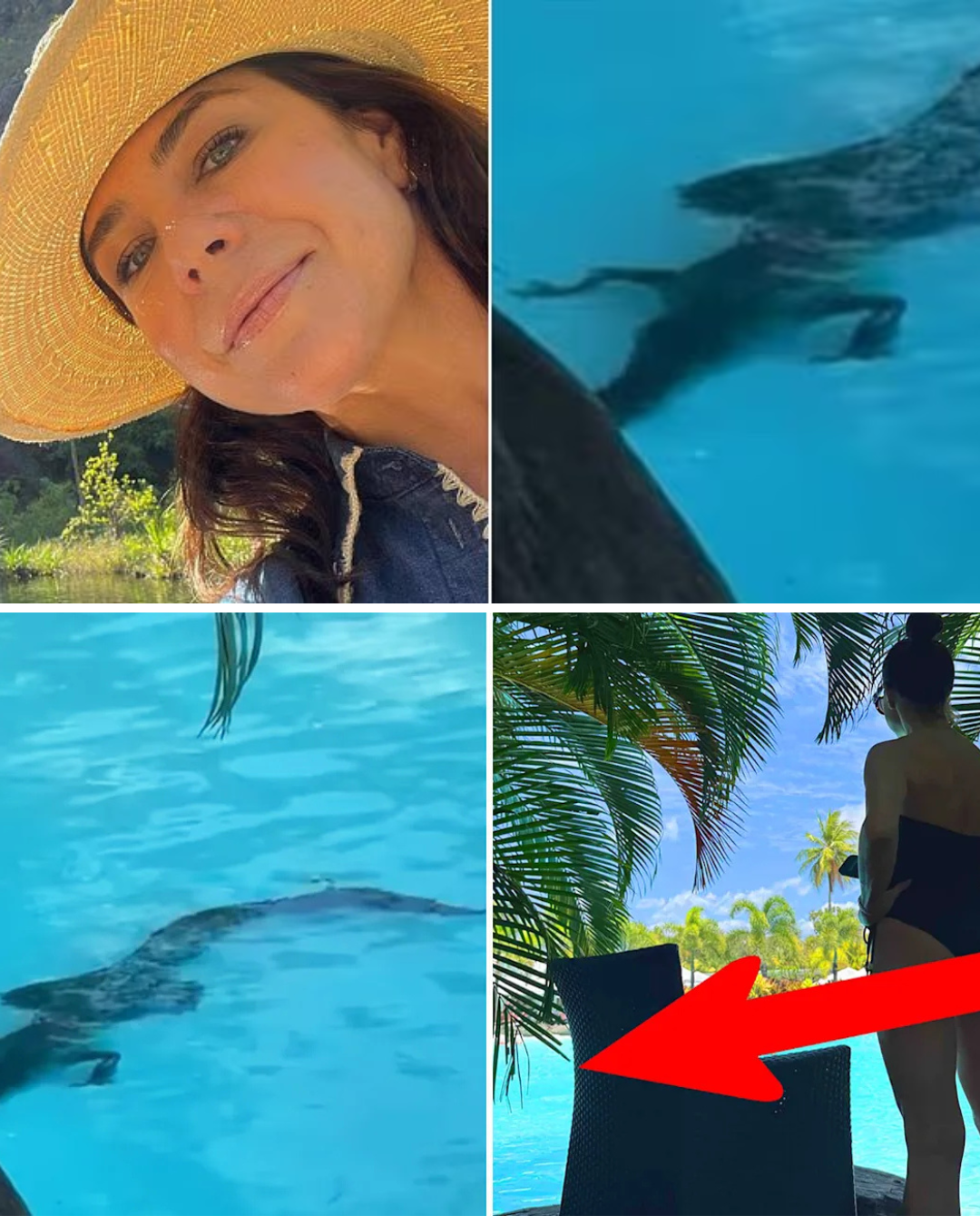Kate Ritchie has a ‘near-death’ experience with a crocodile at a luxury hotel in Queensland
