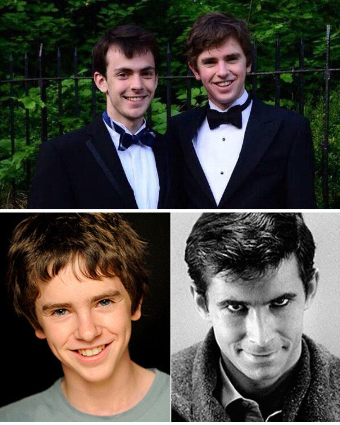 How Skandar Keynes and Freddie Highmore Turned Childhood Fame into Intellectual Triumph