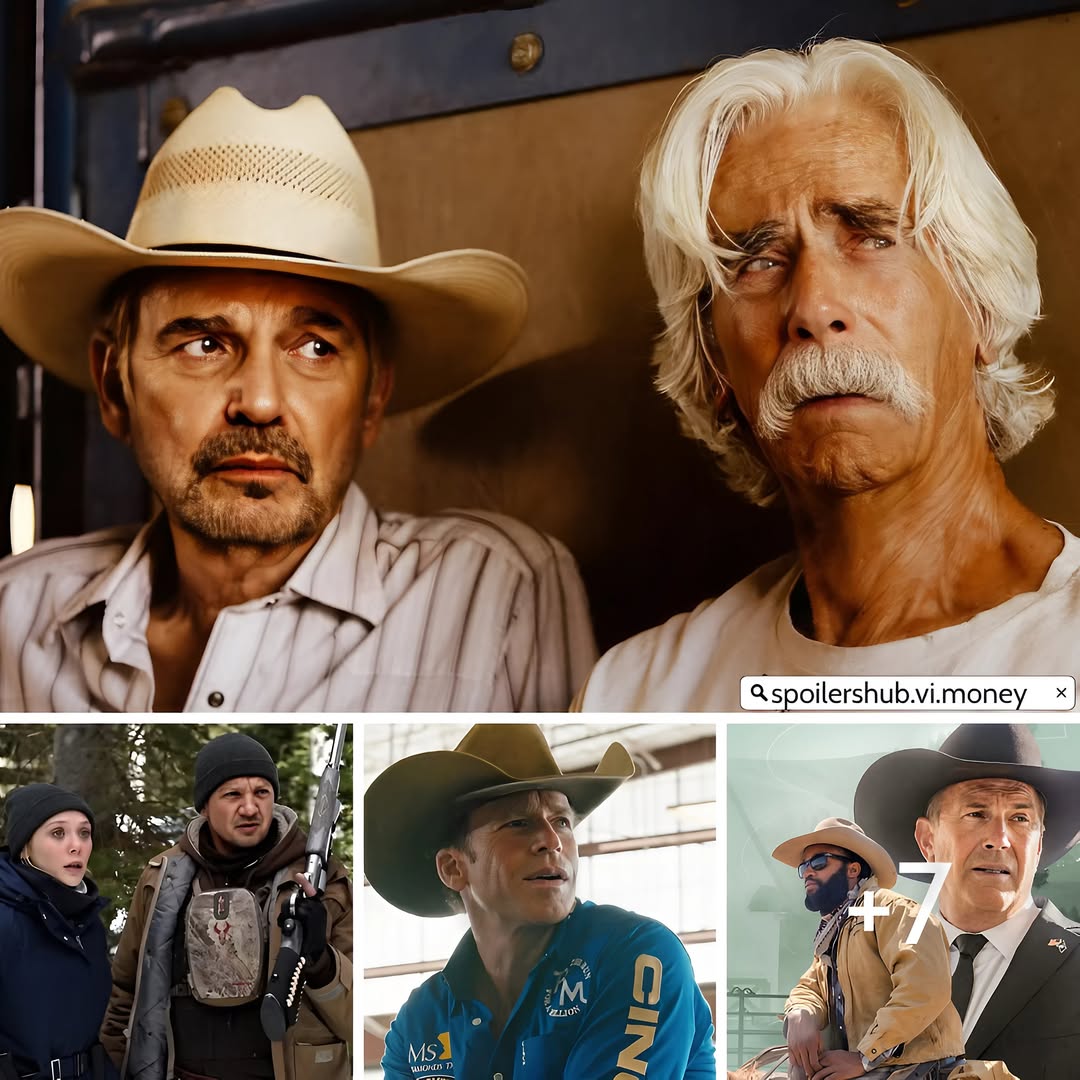 Every Taylor Sheridan Western Movie and TV Show, Ranked