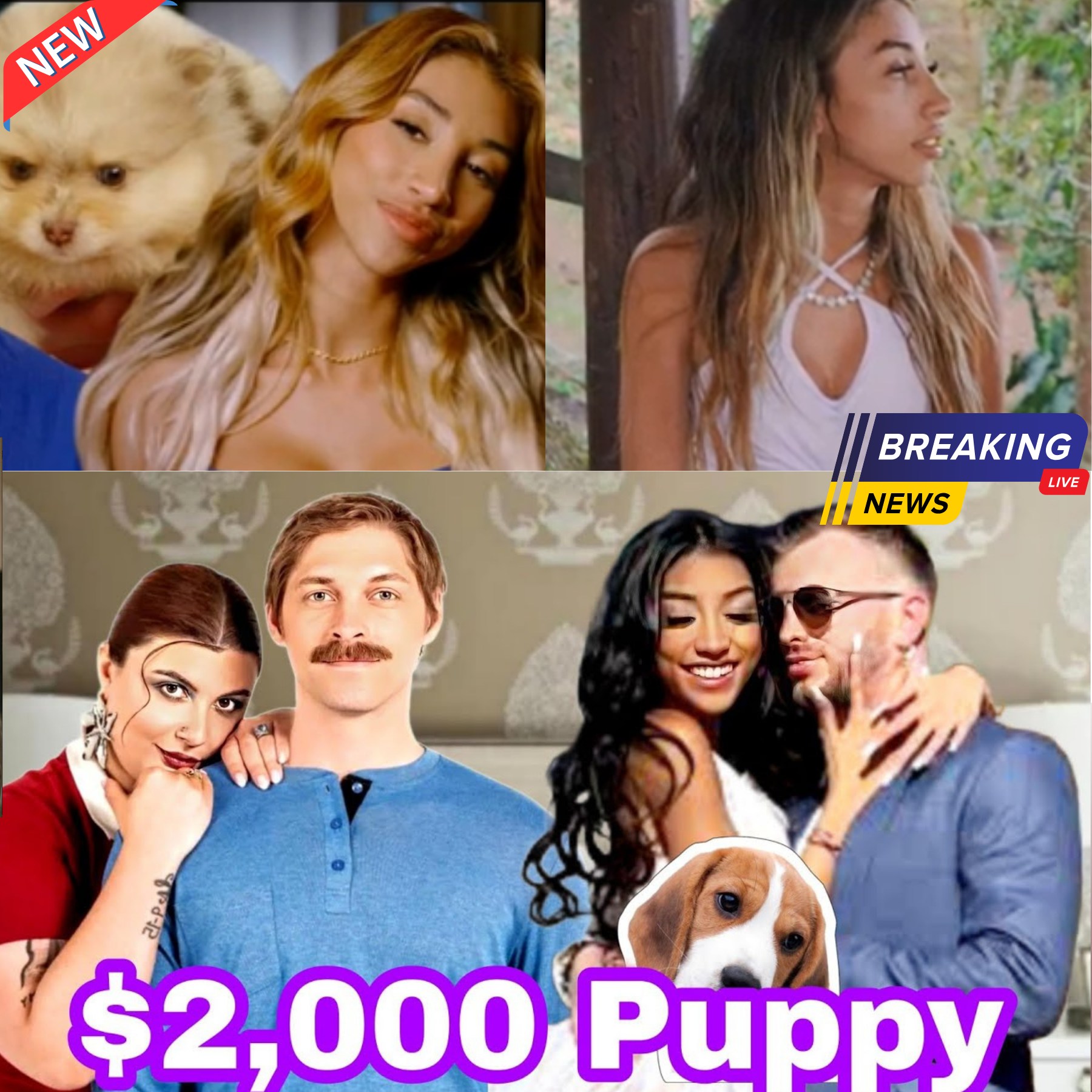 90 Day Fiance Drama: Luke’s $2,000 Puppy Gift & Anthony–Manon House Money Conflict