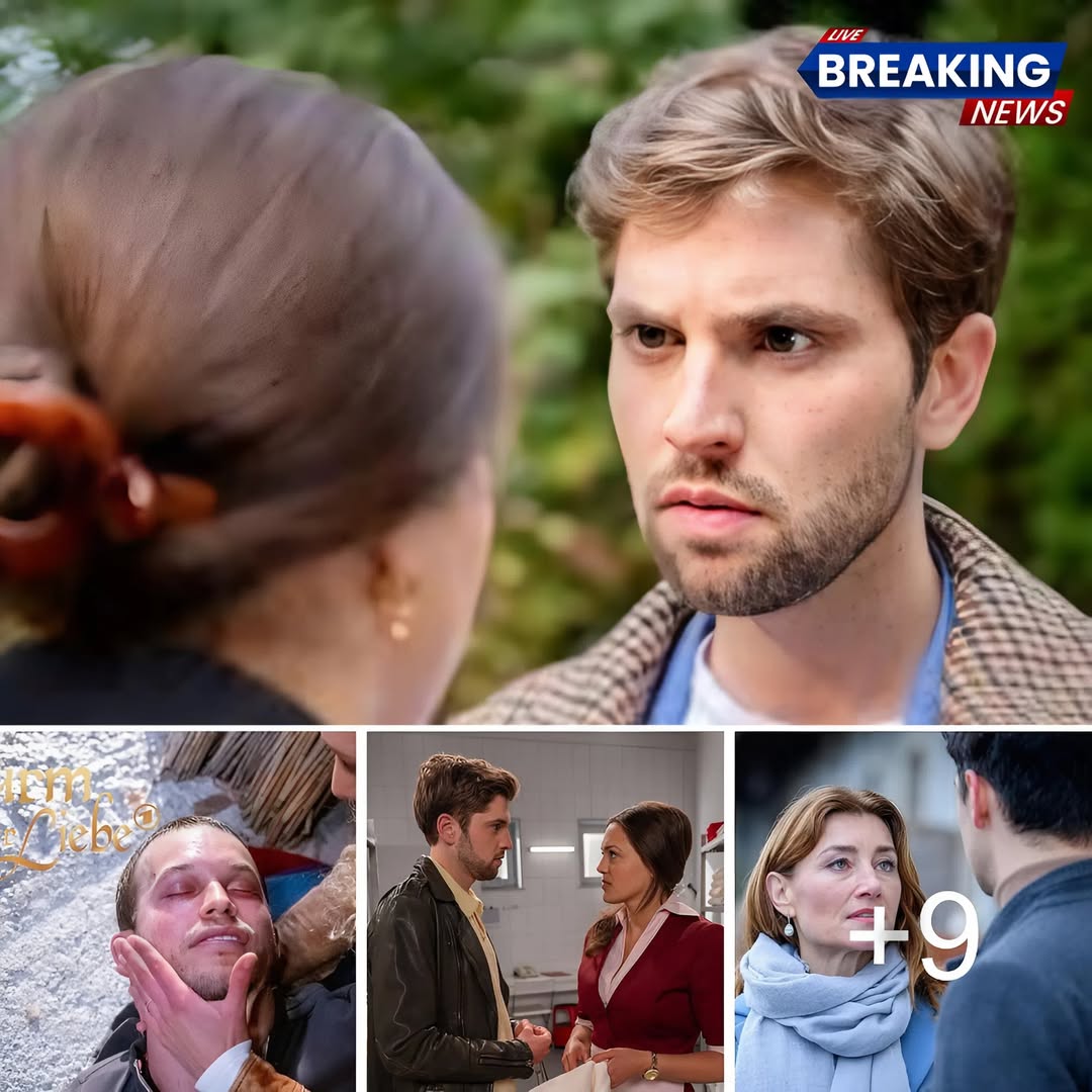 “Sturm der Liebe” im TV: Alle Infos und Darsteller auf einen Blick