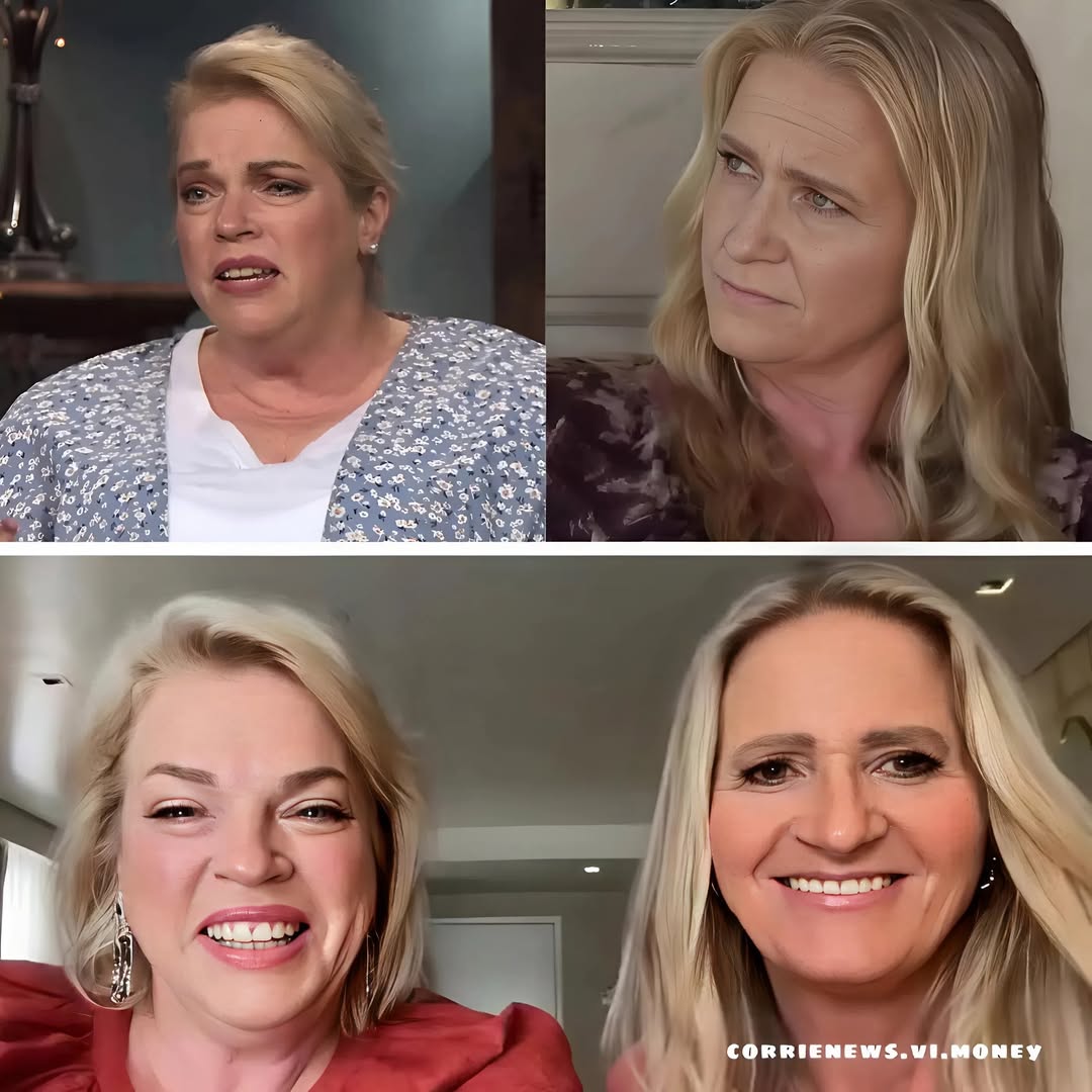 Sister Wives: OMG! Christine & Janelle Refuse To Take Responsibility For The Family Estrangement!