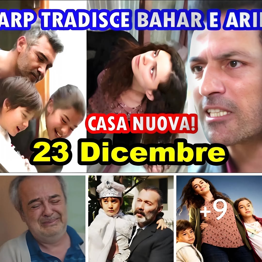 LA FORZA DI UNA DONNA 23 Dicembre Spoiler: SARP TRADISCE BAHAR E ARIF!