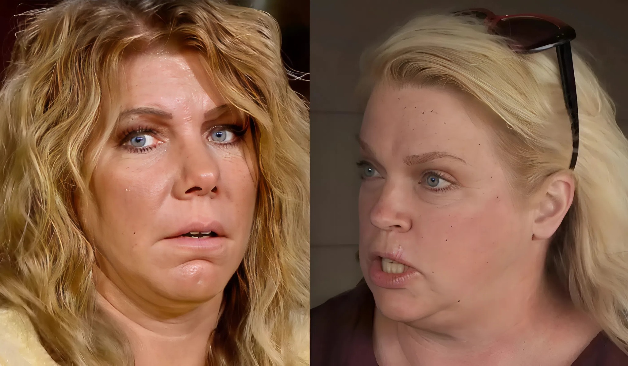 Sister Wives: OMG! Did Janelle Brown Really Backstab Meri Brown?